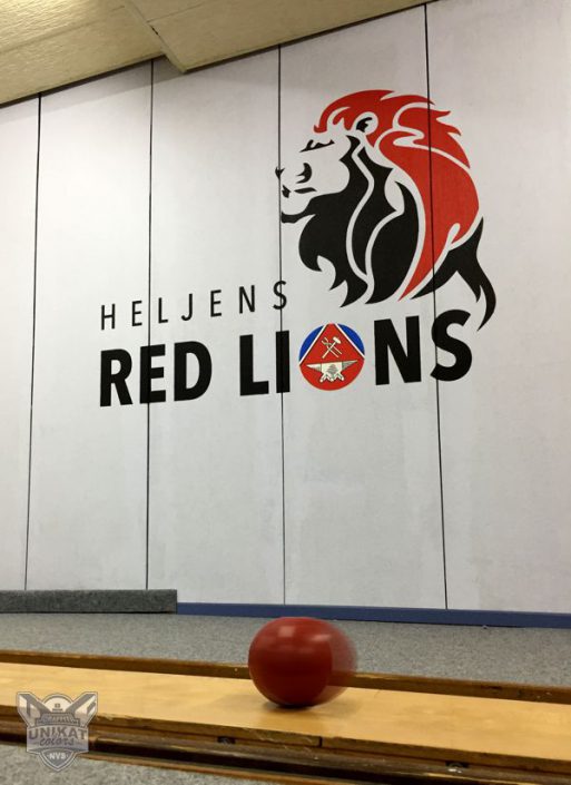 Löwe und logo auf Wand